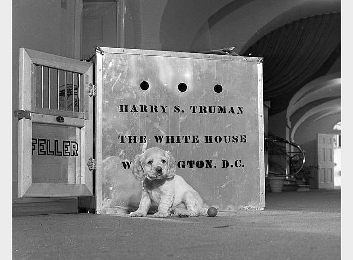 Harry S. Truman