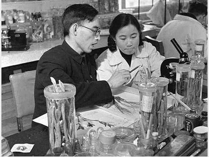 Tu YouYou