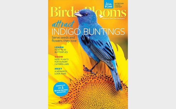 #59. Birds And Blooms