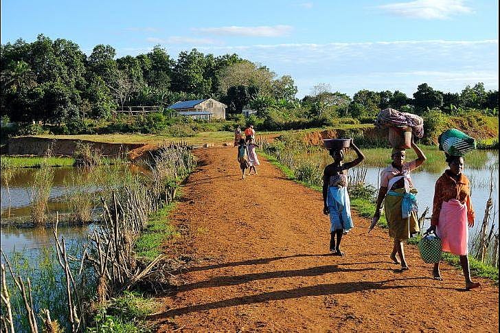 #45. Madagascar