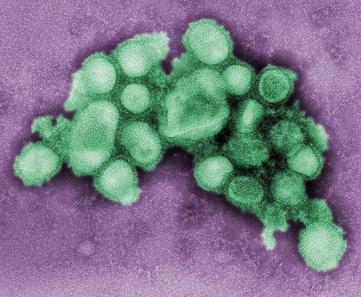 #11. Stop The Spread Of Germs With A Few Simple Habits