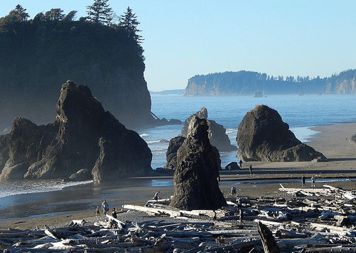 Washington: Olympic Peninsula Loop