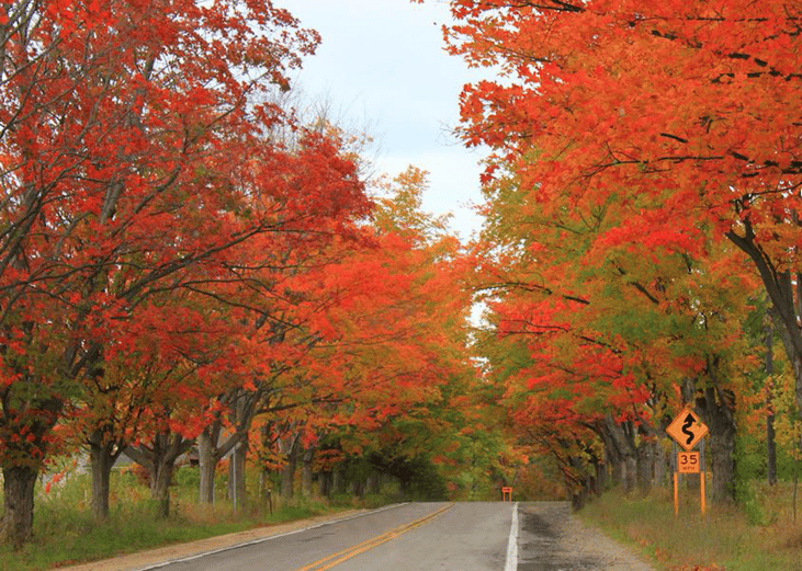 Michigan: M-22