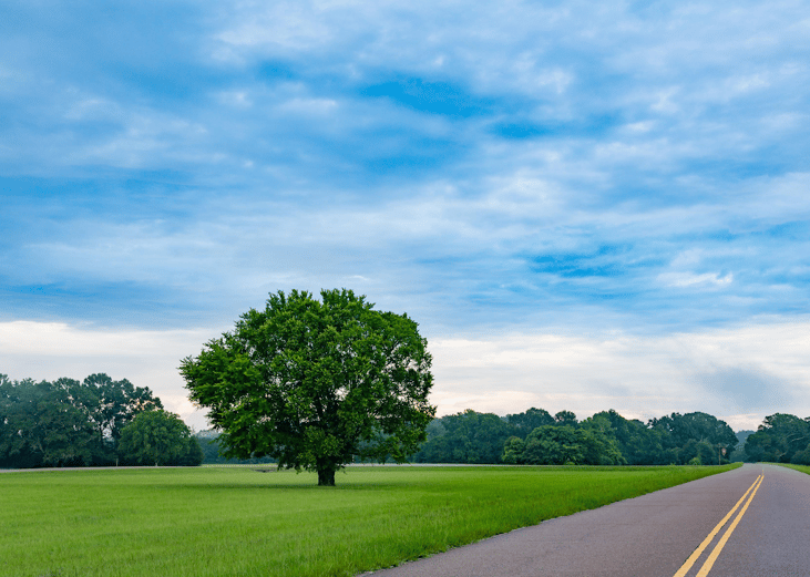 Mississippi: Natchez Trace Parkway