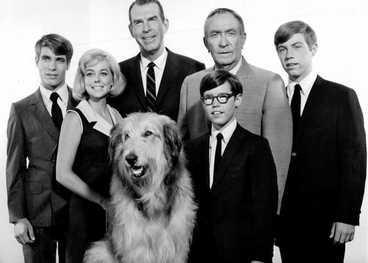 Answer #23: What is "My Three Sons?"