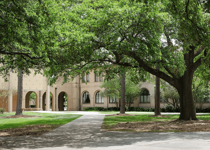 #48. Louisiana State University