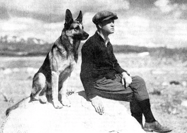 1925–1928: German shepherd dogs