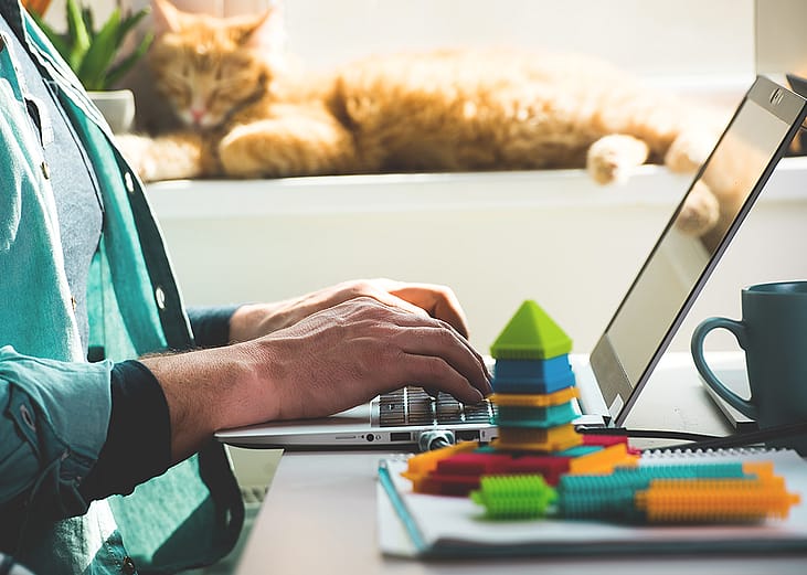 Person working remotely with children’s blocks on desk and a cat in background.