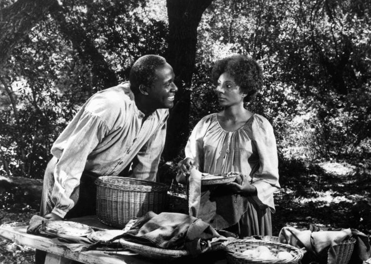 'Roots' (1977)