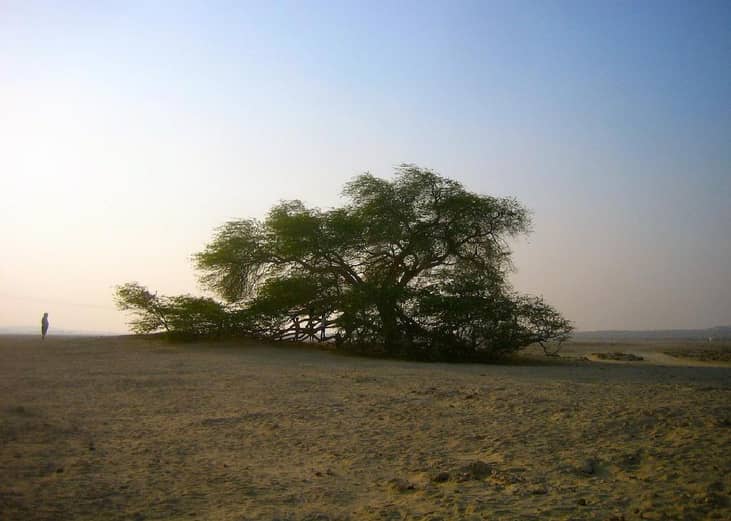 #14. Ras Hayan, Bahrain