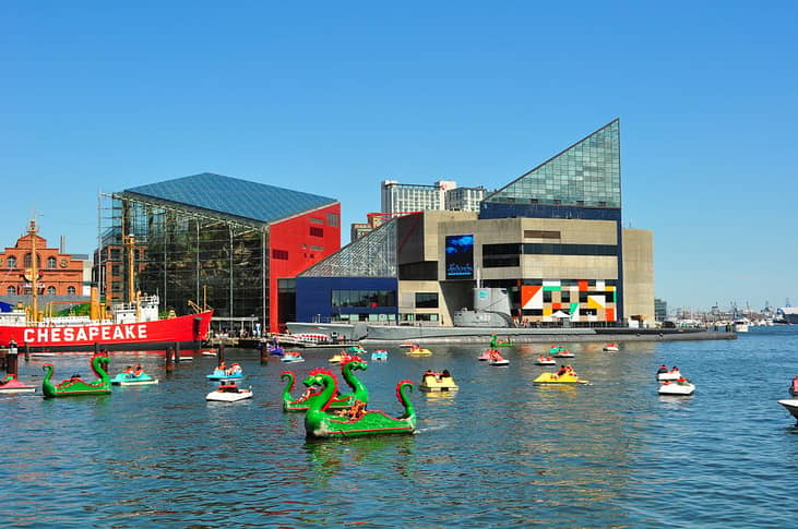 #40. Baltimore Aquarium, Maryland
