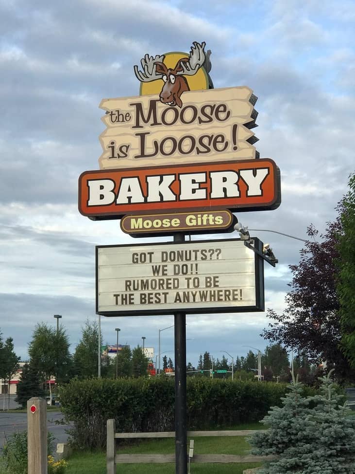 Alaska: The Moose is Loose