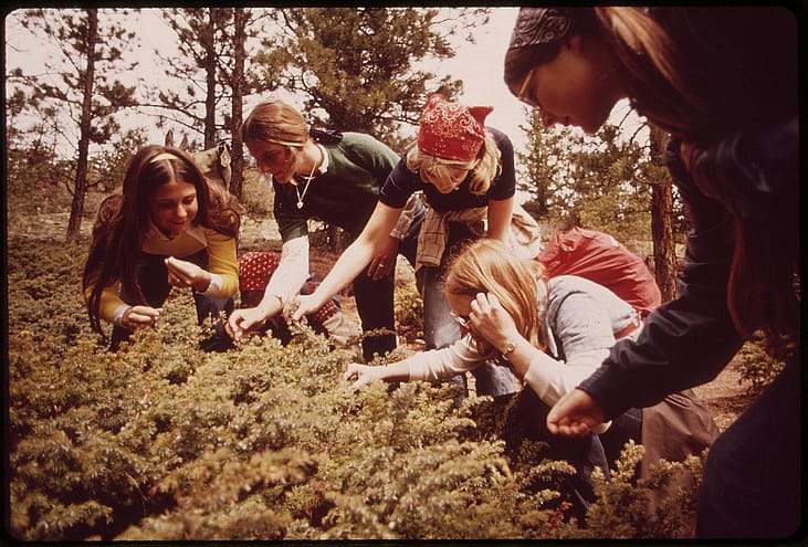 #47. Environmental studies