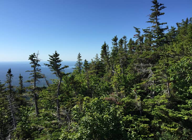 Nickname: The Pine Tree State