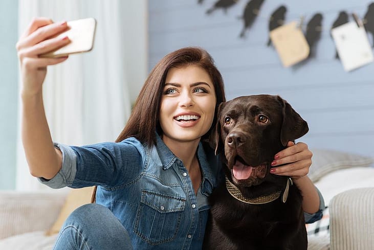 Great dog breeds for millennials