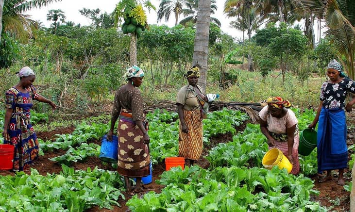 Tanzania: Widow’s loss of home
