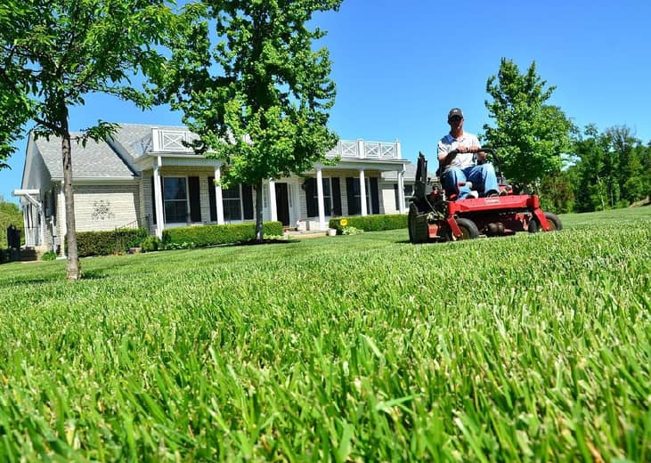#1. Landscaping yard