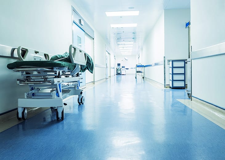 States with the most flu and pneumonia deaths