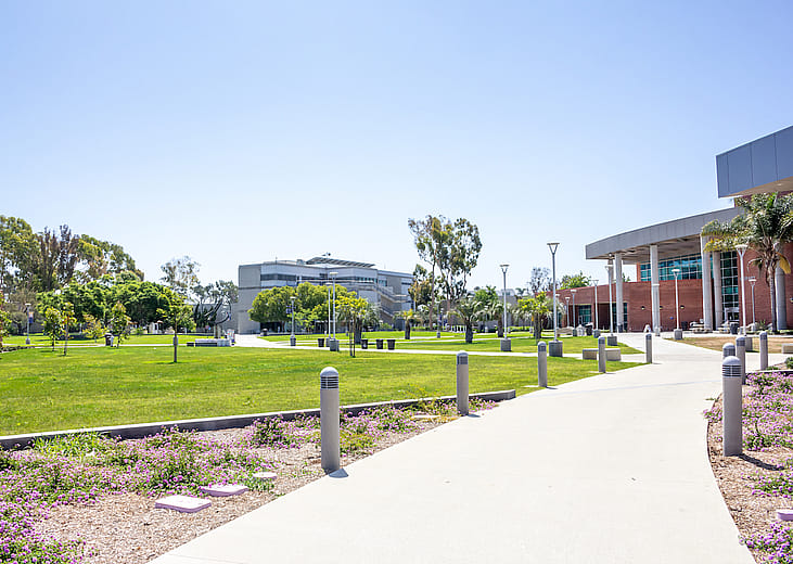 Community colleges whose graduates earn the most money