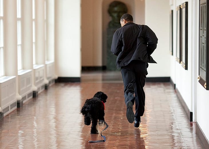 A history of presidential pets