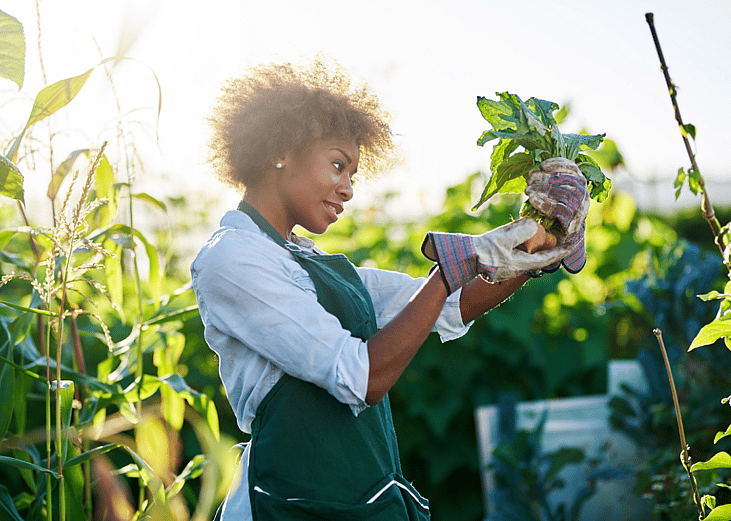 A young Black woman gardener holds up a handful of turnips and inspects them