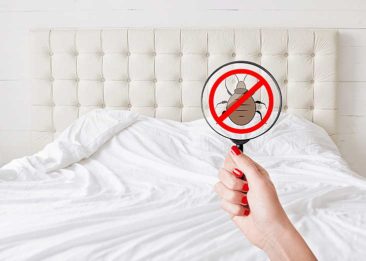 A woman's manicured hand holds a magnifying glass over a hotel room bed to check for bed bugs