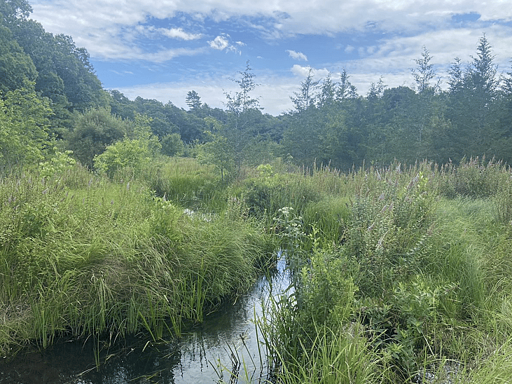 The eco preservation of Eel River, Massachusetts