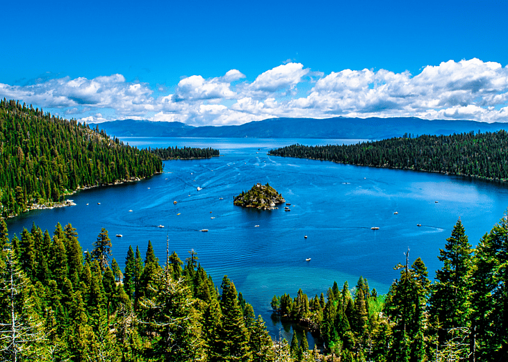 View of trees and water in Lake Tahoe in California