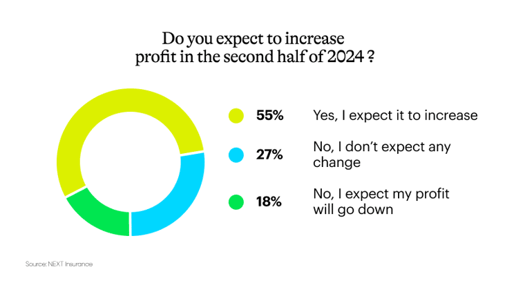 Graph showing results for “Do you expect profits to increase in the 2nd half of 2024?”