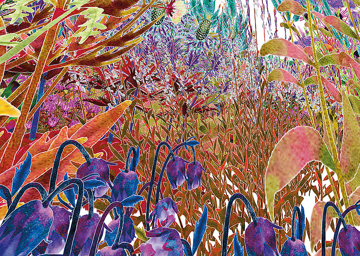 An illustration showing how bees visually perceive the environment.