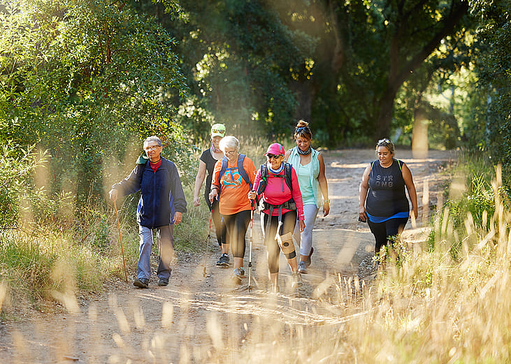 A group of senior women out on a forest hike.