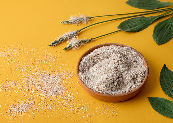 Psyllium plant product in a plate on yellow background.