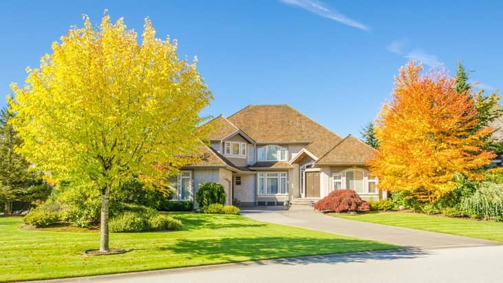 A beautiful home with two large, colorful trees in a suburb.