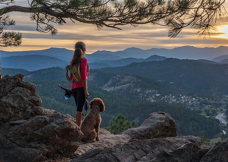 Think you're overpaying at the vet? See how much it costs to vaccinate your dog in Denver, Colorado