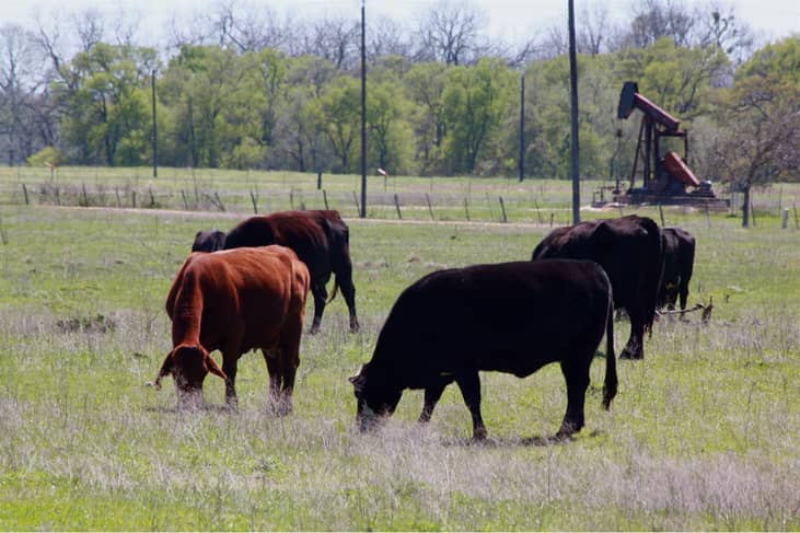 Texas