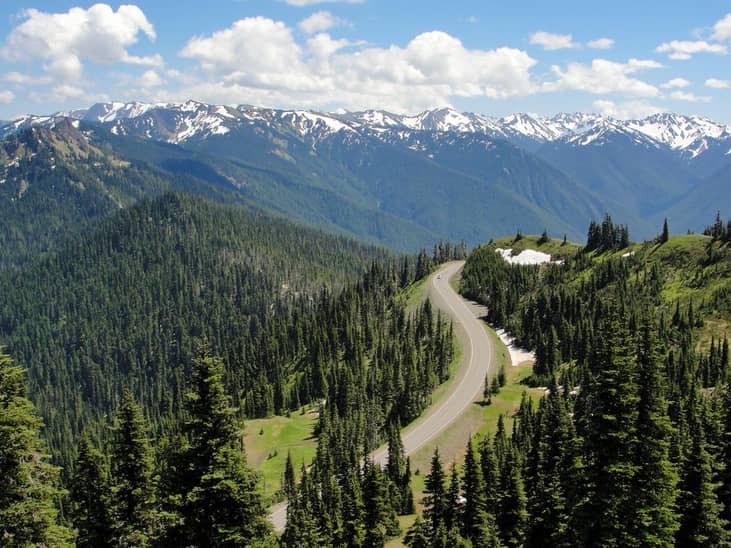 #38. Washington