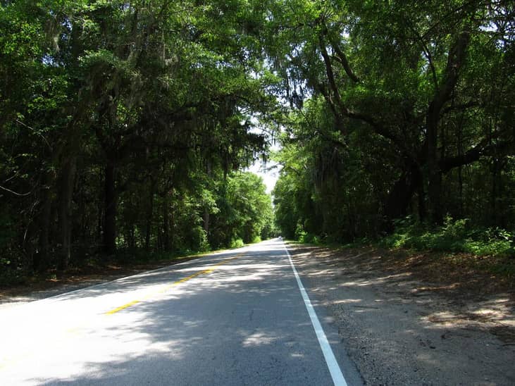 #3. South Carolina