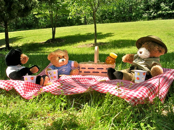 #28. July 10: Teddy Bear Picnic Day
