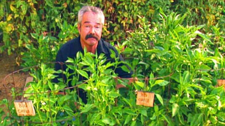 #3. Gardening by the Yard