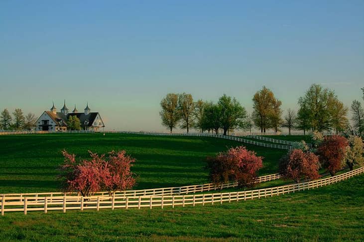 Nickname: The Bluegrass State