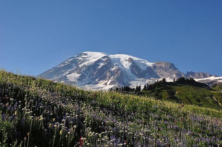 Nickname: The Evergreen State