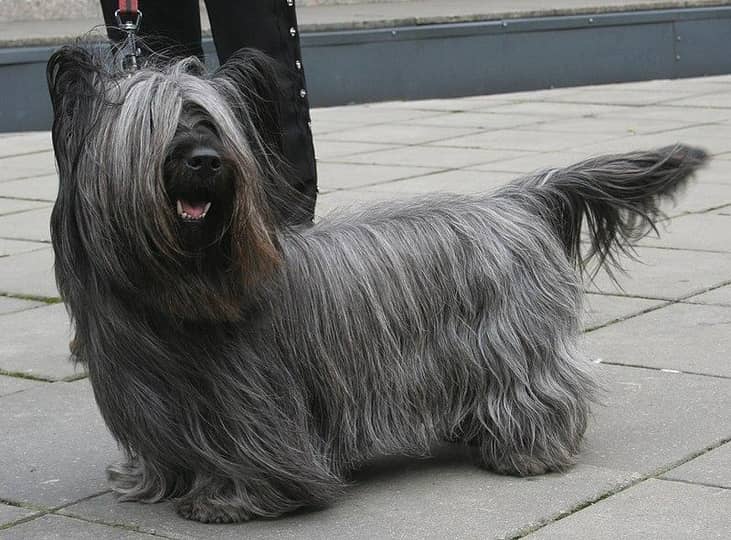 #18. Zeus