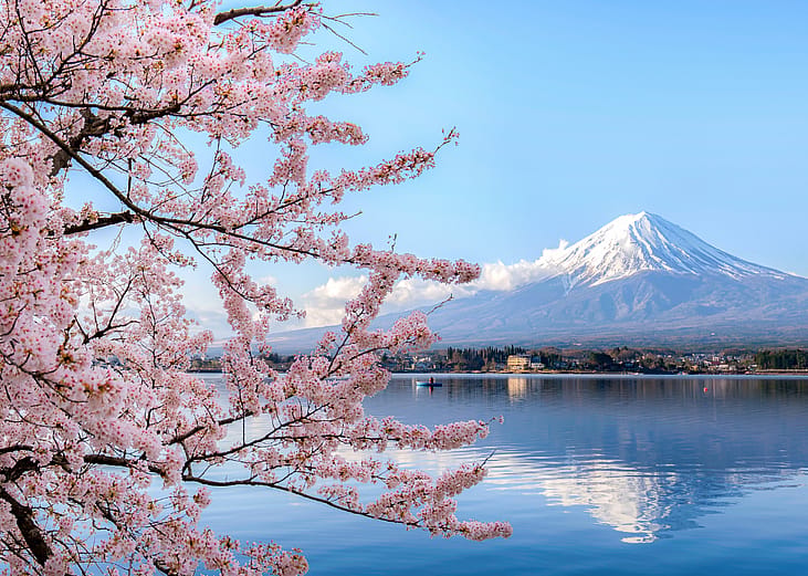 The world's best places to see cherry blossoms