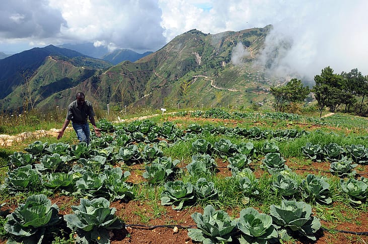 #32. Haiti
