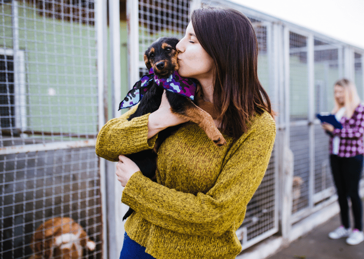 It only takes eight minutes to pick a shelter animal