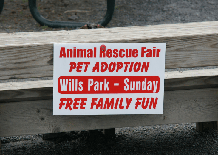 Animal relocation helps curb shelter overcrowding