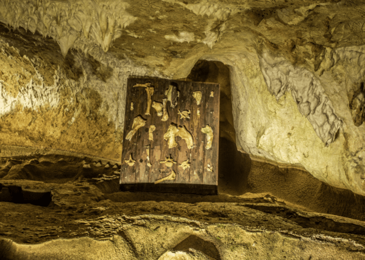 Anthropologic discoveries the year you were born