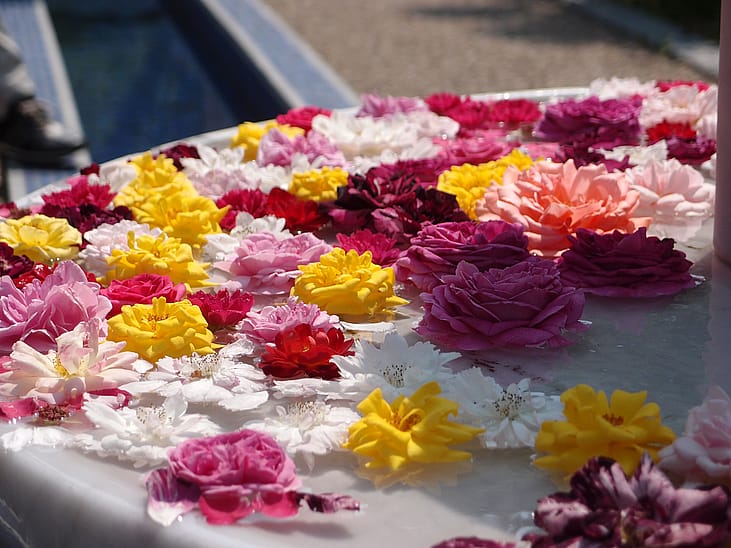 Rose Festival (Morocco)