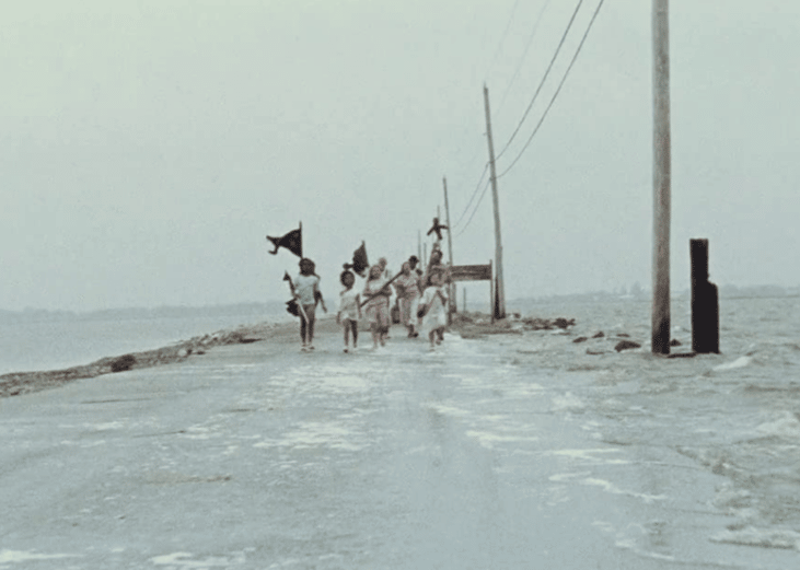 Beasts of the Southern Wild (2012)