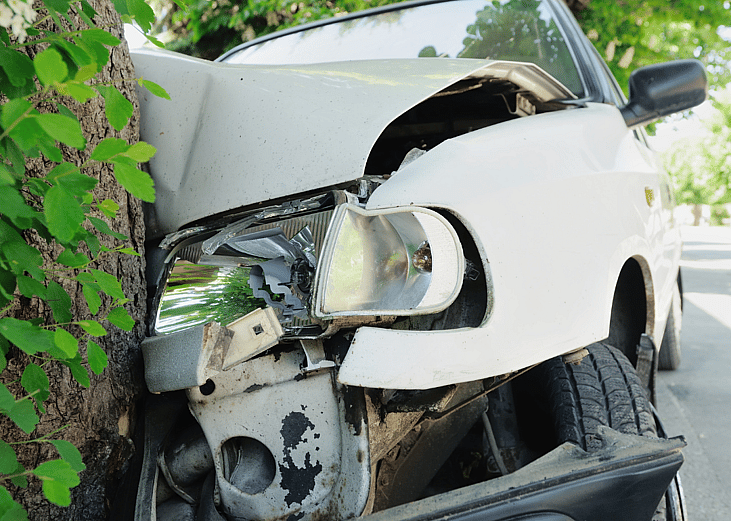 States with the most motor vehicle deaths in 2020
